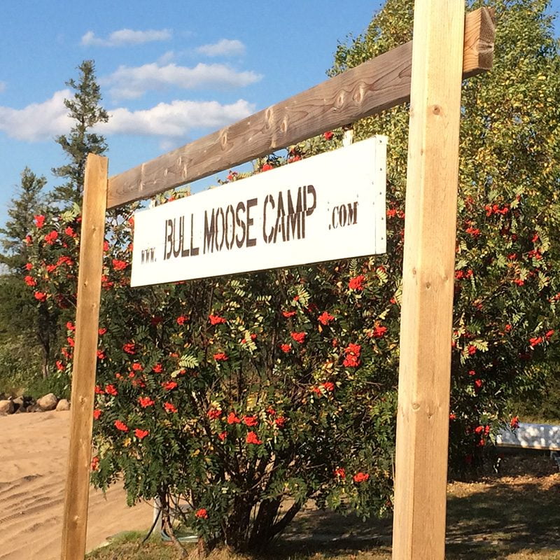 Bull Moose Camp Signage Aspect Ratio 800 800