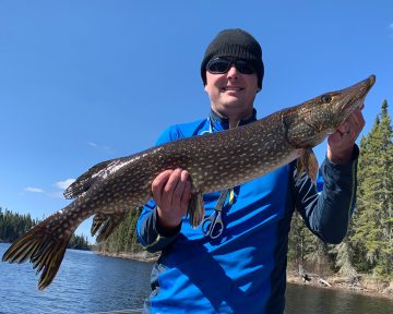 Guest Holding Northern Pike